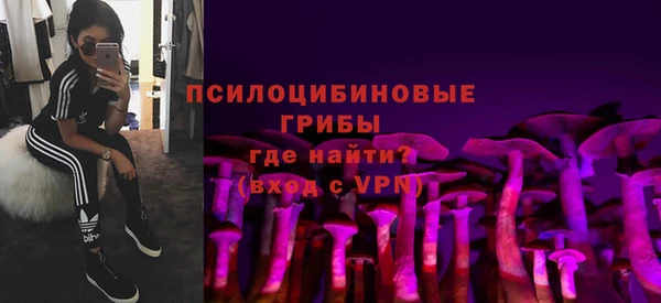 гидра Бугульма
