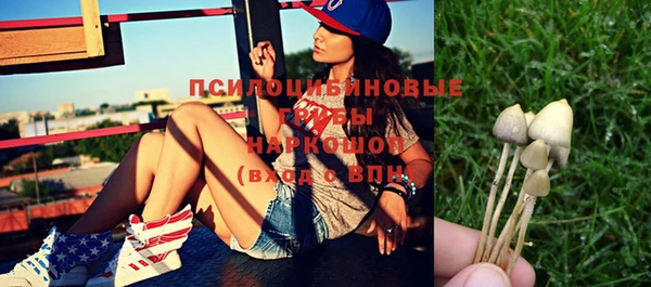 кристаллы Бородино